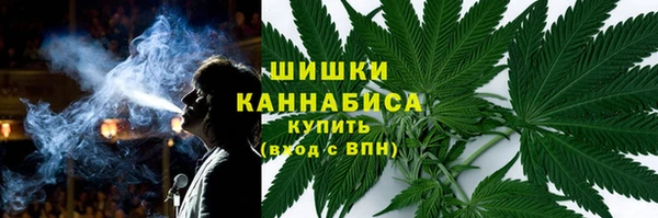 дмт Снежногорск